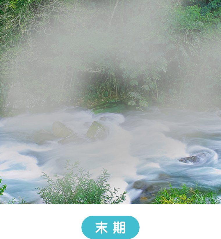 末期